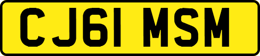 CJ61MSM