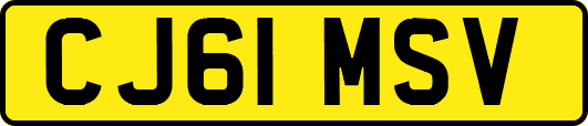 CJ61MSV