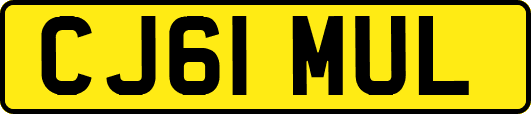CJ61MUL