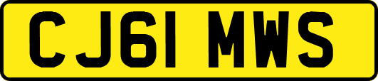 CJ61MWS