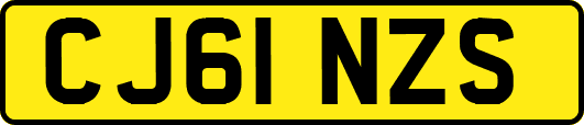 CJ61NZS