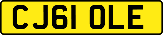 CJ61OLE