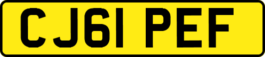 CJ61PEF