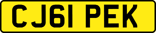 CJ61PEK