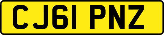 CJ61PNZ