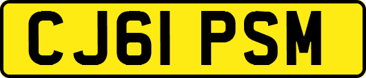CJ61PSM
