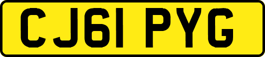 CJ61PYG