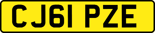 CJ61PZE