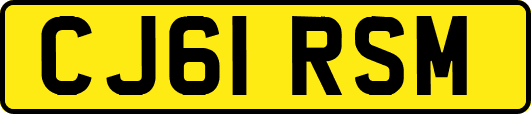 CJ61RSM