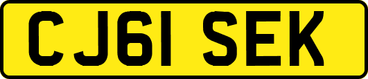 CJ61SEK