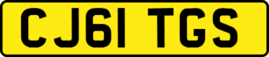 CJ61TGS