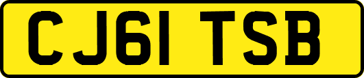CJ61TSB