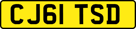 CJ61TSD