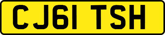 CJ61TSH