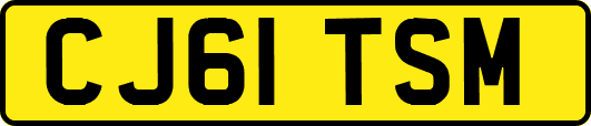 CJ61TSM