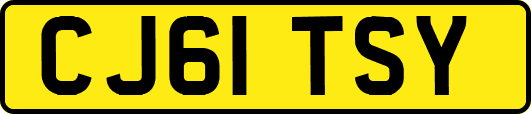 CJ61TSY