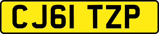 CJ61TZP
