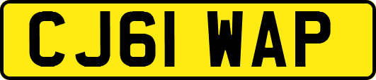 CJ61WAP