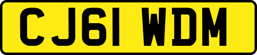 CJ61WDM