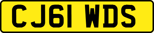 CJ61WDS