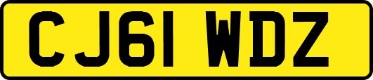 CJ61WDZ