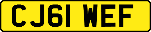 CJ61WEF