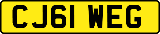 CJ61WEG