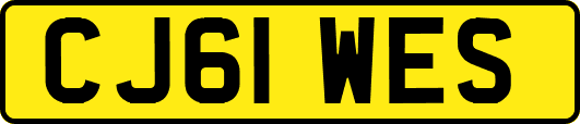 CJ61WES