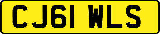 CJ61WLS