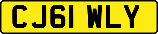 CJ61WLY