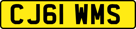 CJ61WMS