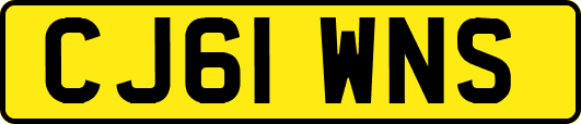 CJ61WNS