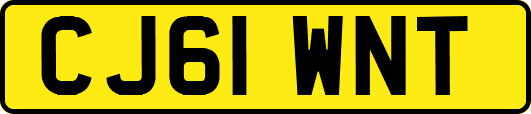 CJ61WNT