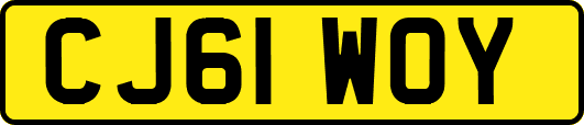 CJ61WOY