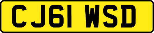 CJ61WSD