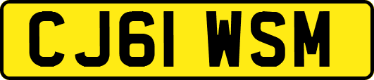 CJ61WSM