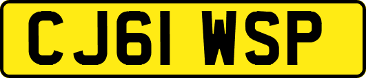 CJ61WSP