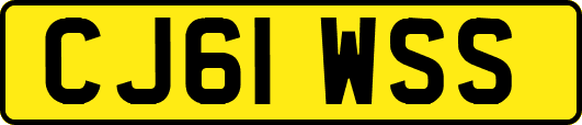 CJ61WSS
