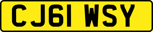 CJ61WSY