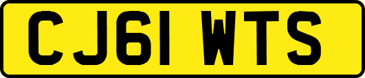 CJ61WTS