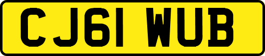 CJ61WUB