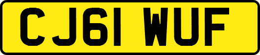 CJ61WUF