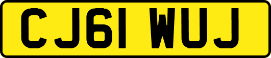 CJ61WUJ
