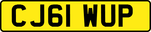 CJ61WUP