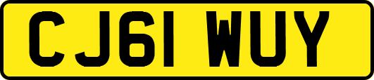 CJ61WUY