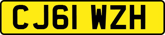 CJ61WZH