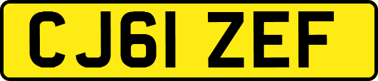 CJ61ZEF