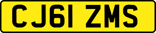 CJ61ZMS