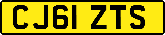 CJ61ZTS
