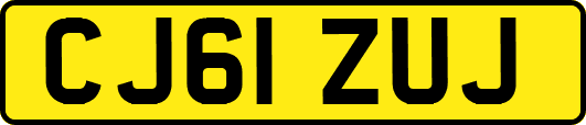 CJ61ZUJ